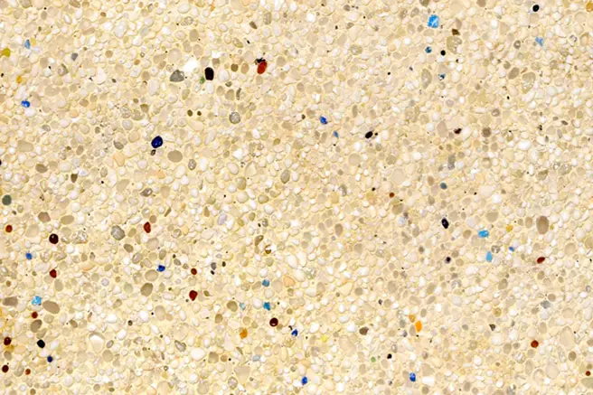 vizcaino md biosfera small